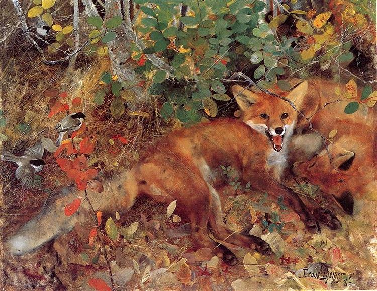 bruno liljefors Foxes oil painting image